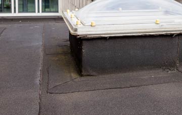 disadvantages of Roseville flat roofs